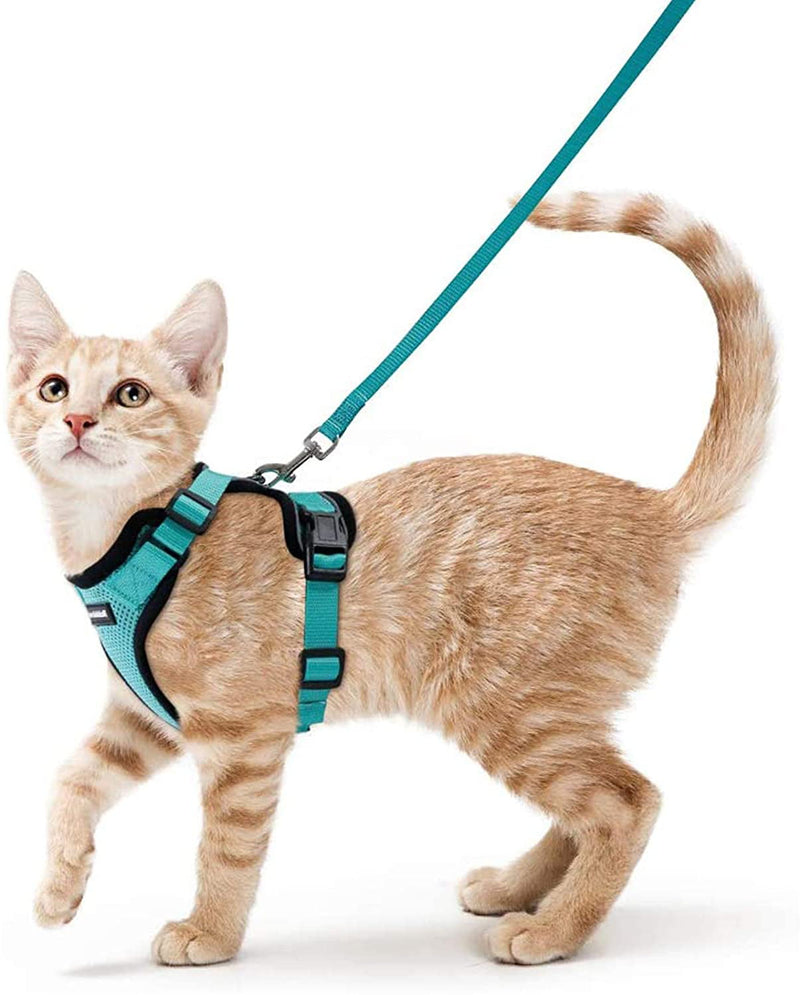Rabbitgoo Cat Harness and Leash for Walking,Escape Proof Soft Adjustable Vest Harnesses for Cats