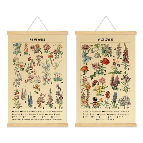 Springcorner Vintage Wildflowers Posters,Botanical Wall Art Prints Colorful Floral Plant Wall Hanging with Wooden Frame