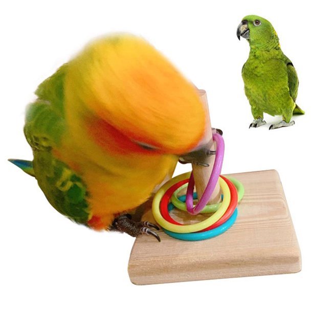 Archer Pet Bird Parrot Wooden Platform Plastic Ring Intelligence Training Chew Toy